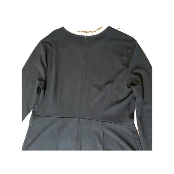 LOFT Ruffle Flare Dress (16) - Picture 4 of 6